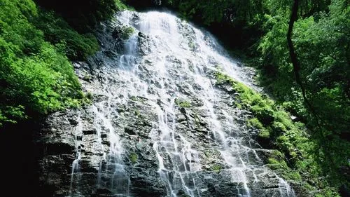 信息化智能节能